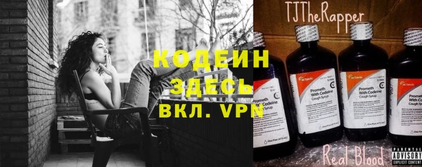 меф Пересвет